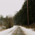 snow covered road between trees during daytime