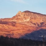Sunlit mountain peak above a burnt forest landscape.