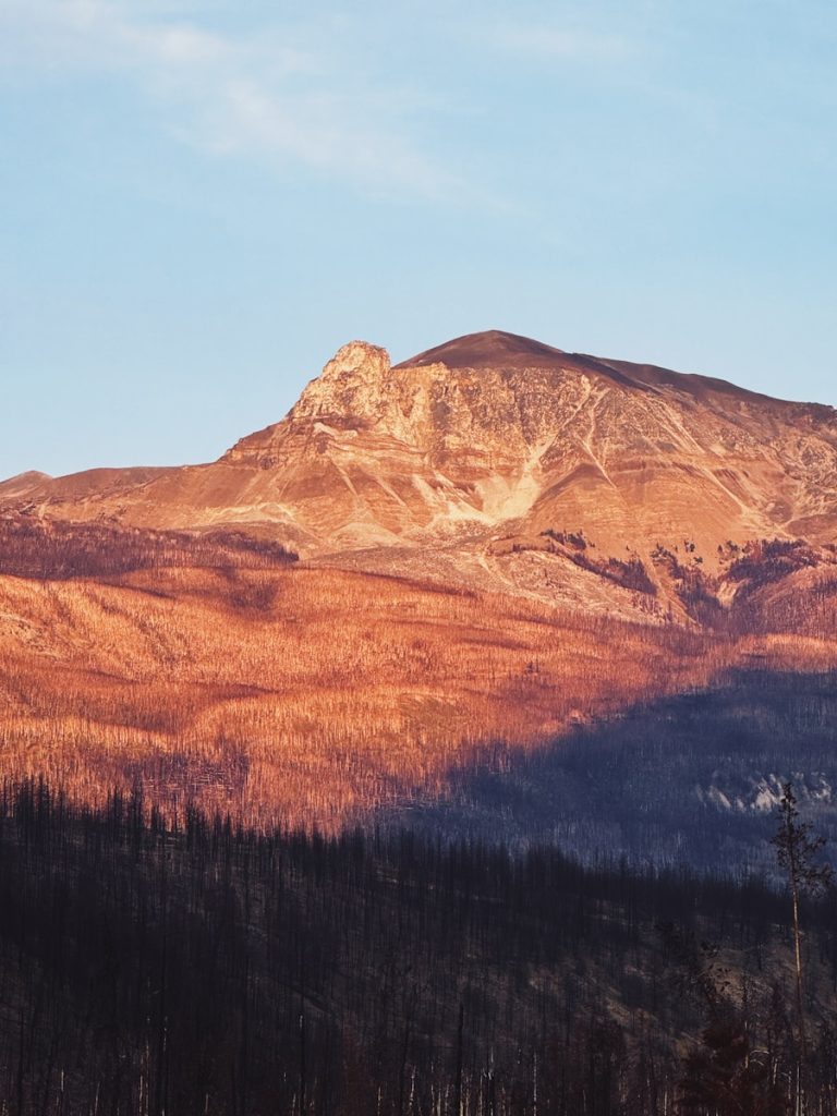 Sunlit mountain peak above a burnt forest landscape.