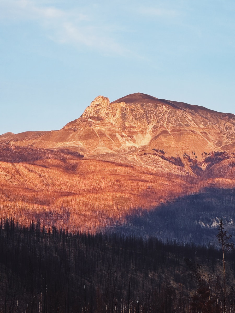 Sunlit mountain peak above a burnt forest landscape.